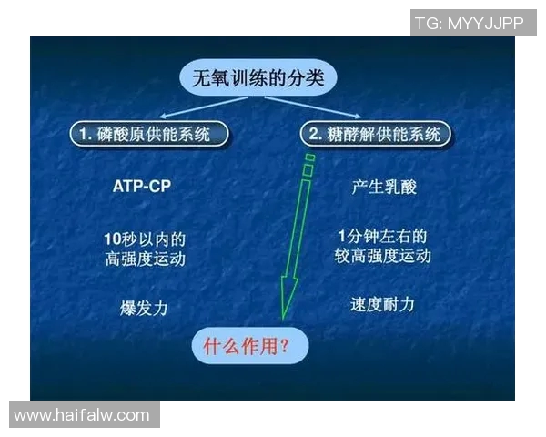 上海羽毛球队耐力对比深度解析与训练策略探讨